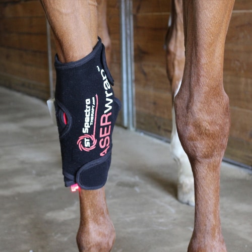 laser therapy for horses laser therapy wrap for horses
