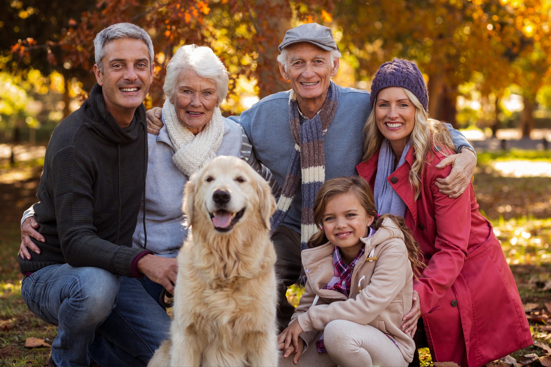 laser therapy for people Laser therapy for dogs, cats, people and horses