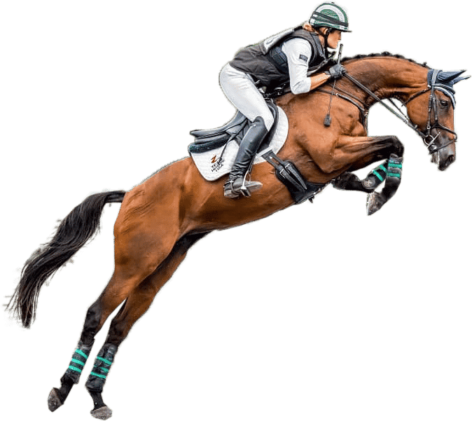 laser therapy for horses Equine wearable laser therapy system