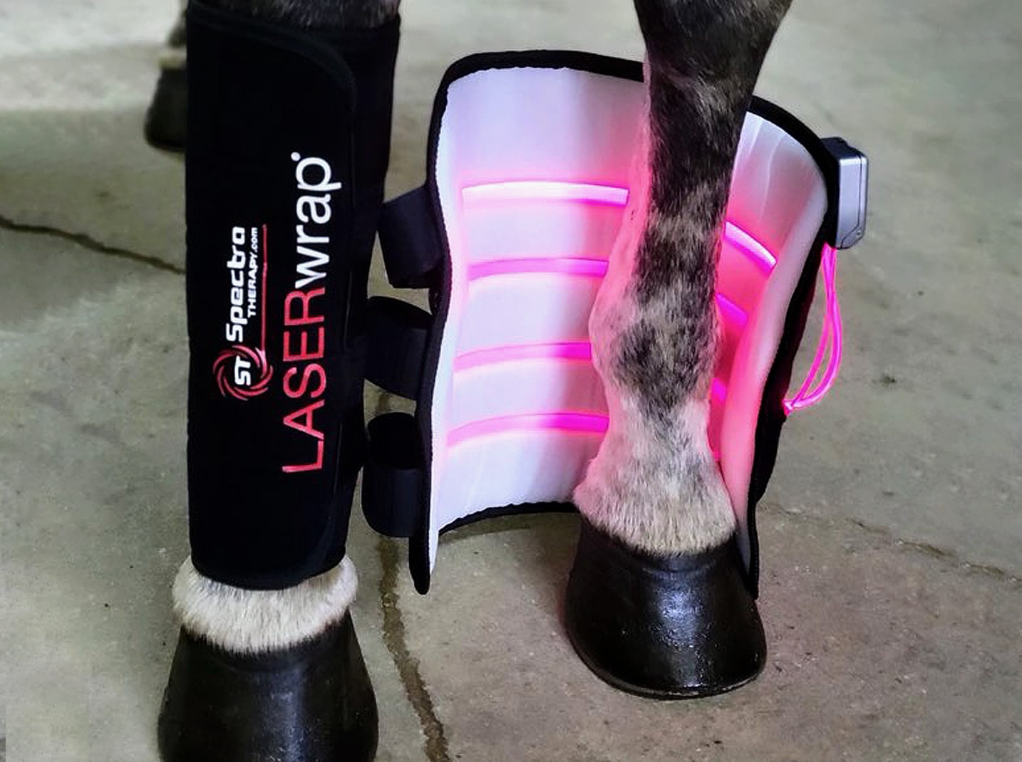 laser therapy for horses E10 Quick Tendon Boot Single Laser System