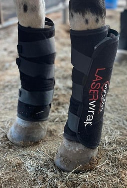laser therapy for horses E10 Quick Tendon Boot Single Laser System