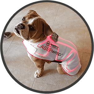 boxer wearing LASERwrap