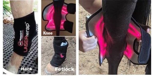 LASERwrap® Combination Tendon and Hock/Knee Laser System - Image 2