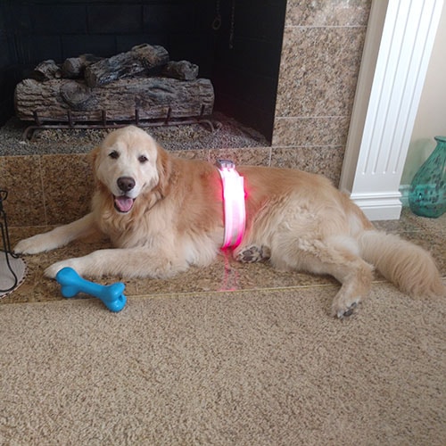 Sully wearing the Dual Filament 40" Strip