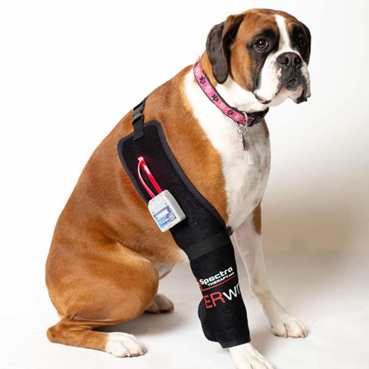 TPLO-CCL-ACL-Meniscus-Sleeve