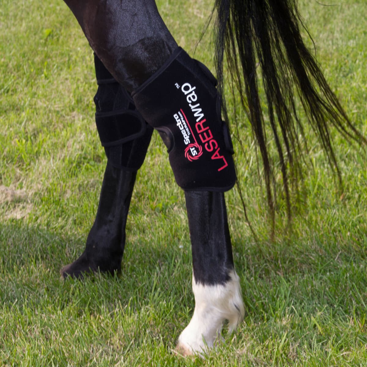 e6-hock-knee-fetlock-wrap
