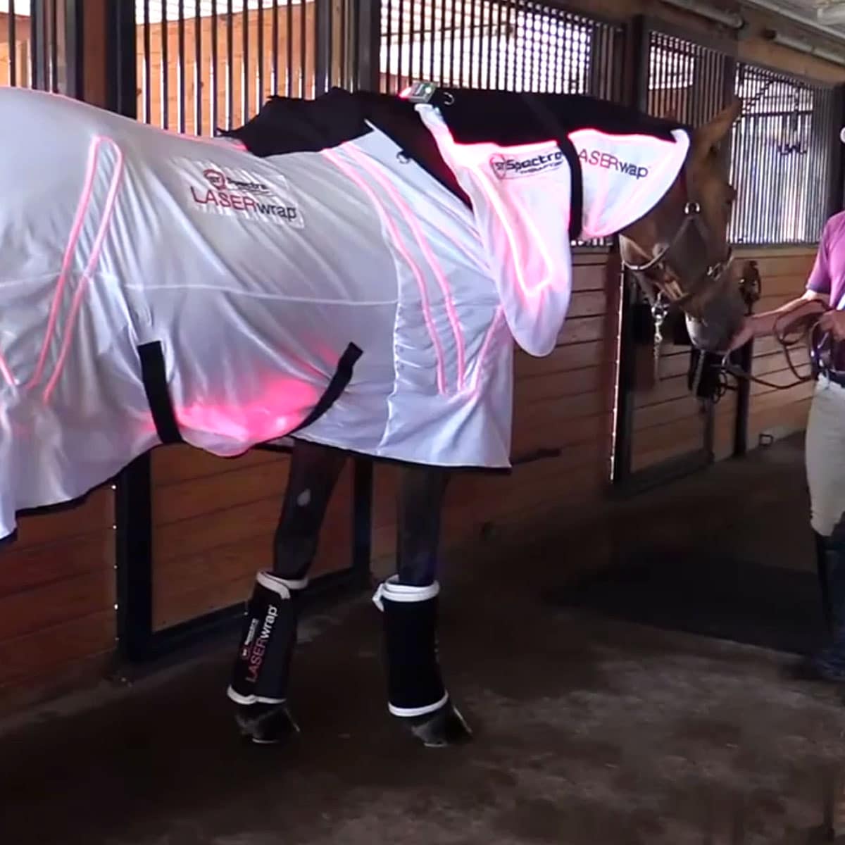 Equine Body Care