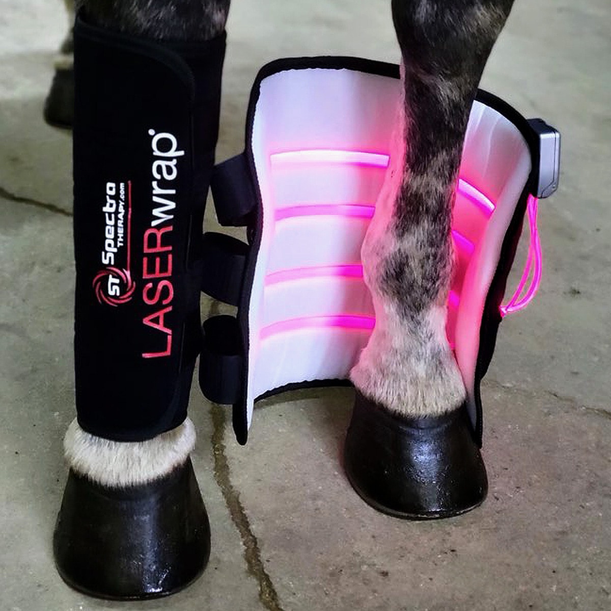E10 Quick Tendon Boot