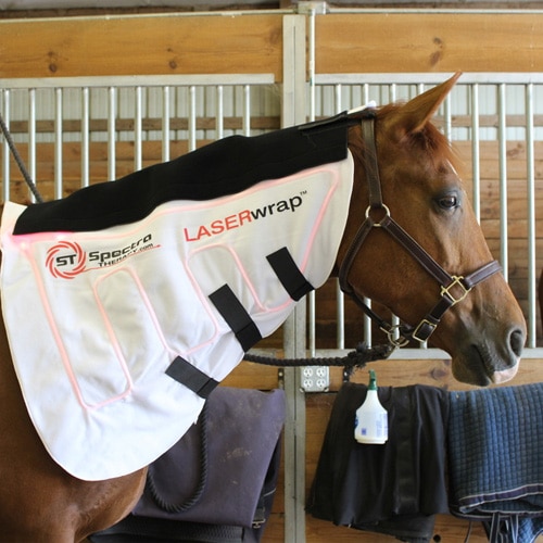 Horse Neck Wrap laser system