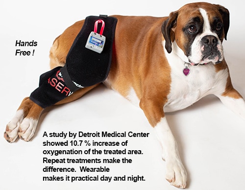 Spectra Therapy Meniscus Sleeve