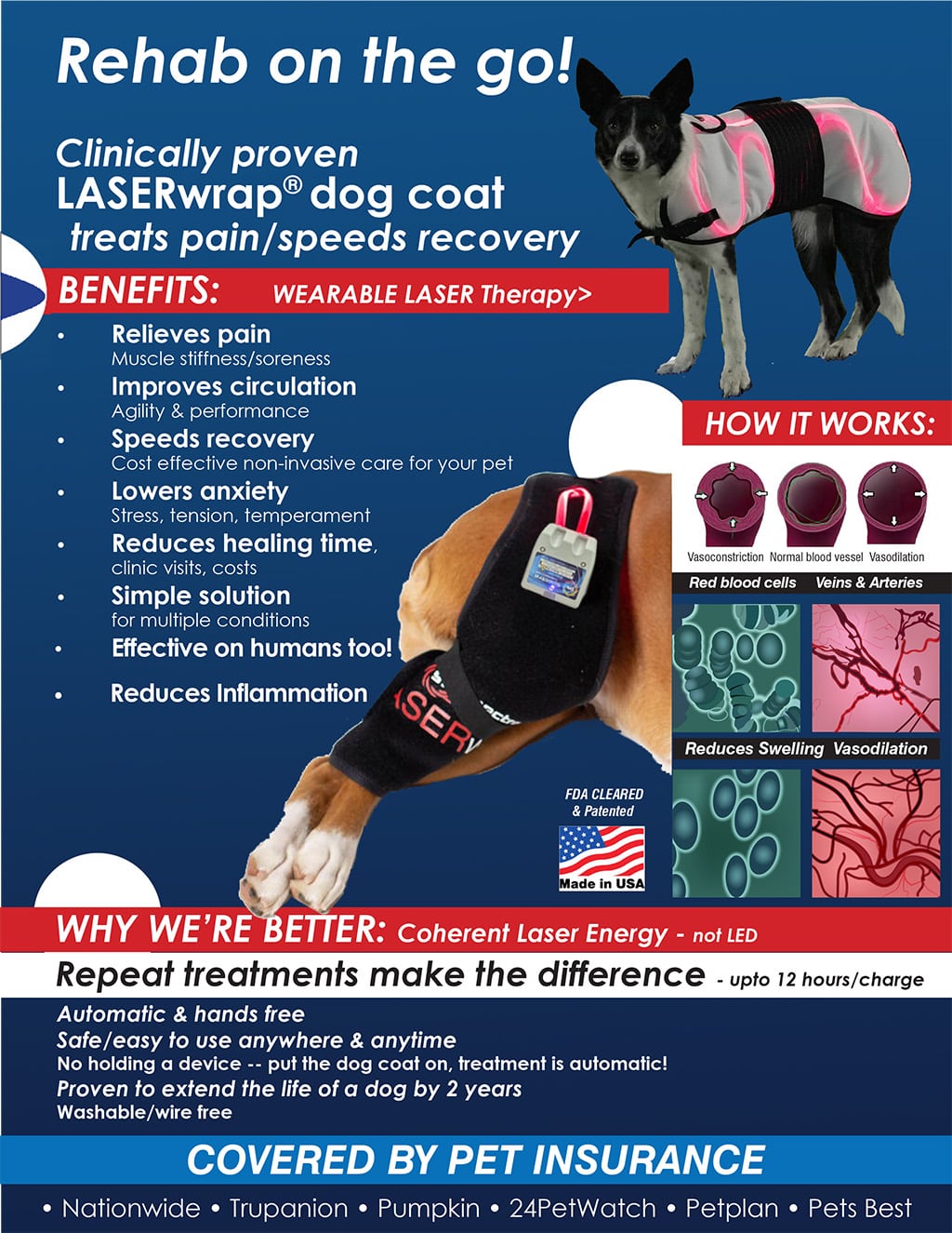 AKC Rehab Flyer